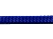 Picture of Electric Blue - 100 Feet - 650 Coreless Paraline