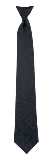 Picture of Police Style Clip-On Neckties by Rothco®