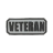 Picture of 3D PVC Patch 2.5 x 1 Veteran Identification Panel