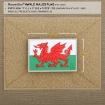 Picture of Welsh Flag PVC Patch 3" x 2" by Maxpedition®