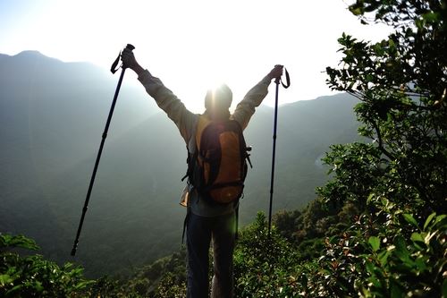 Picture for category Hiking Poles