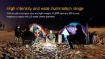 Picture of CL25R Camping Lantern - Max 350 Lumens by Fenix™ Flashlight