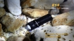 Picture of E15 2016 Flashlight - Max 450 Lumens by Fenix™ Flashlight