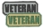 Picture of 3D PVC Patch 2.5 x 1 Veteran Identification Panel