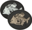 Picture of Piranha Bones PVC Patch 3" x 2.5" by Maxpedition®