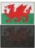 Picture of Welsh Flag PVC Patch 3" x 2" by Maxpedition®