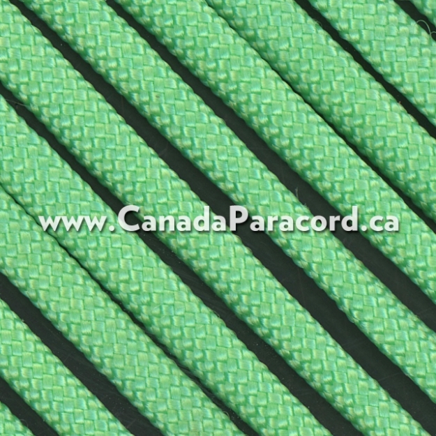 Mint - 100 Feet - 550 LB Paracord 