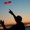 LED Frisbee Ultimate Flashflight® by Nite Ize®