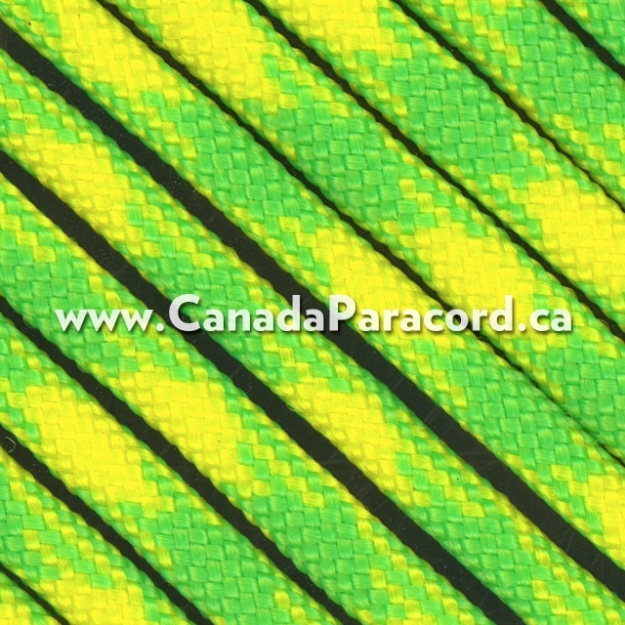 Dayglow - 250 Feet - 550 LB Paracord