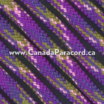 Show details for Napa Valley - 100 Feet - 550 LB Paracord Napa Valley - 100 Feet - 550 LB Paracord