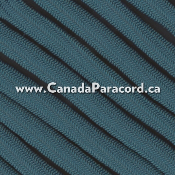 Show details for Neon Teal - 100 Feet - 550 LB Paracord Neon Teal - 100 Feet - 550 LB Paracord