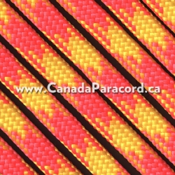 Picture of Tutti Fruity - 100 Feet - 550 LB Paracord Tutti Fruity - 100 Feet - 550 LB Paracord