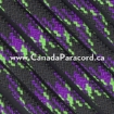 Undead - 1,000 Feet - 550 LB Paracord