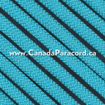 Show details for Neon Turquoise - 100 Feet - 550 LB Paracord Neon Turquoise - 100 Feet - 550 LB Paracord