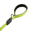 Nitedog® Rechargeable LED Leash by Nite Ize®