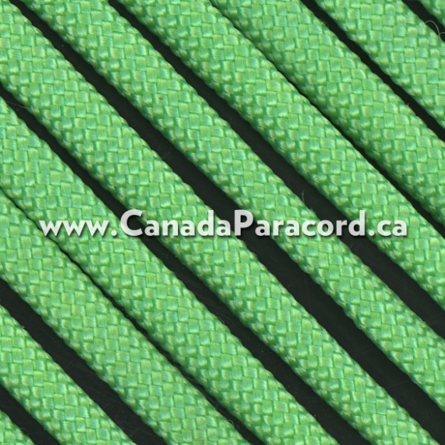 Mint - 25 Feet - 550 LB Paracord