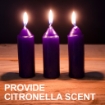 Citronella Candle