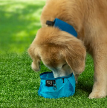 Show details for Raddog® Collapsible Bowl by Nite Ize® collapsible bowl canada nite ize