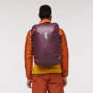 Picture of Allpa 35L Travel Pack | Cotopaxi®