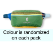 Bataan 3l Fanny Pack Cotopaxi Canada