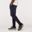 Picture of Close Out: Bandera Jogger | Cotopaxi