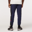 Picture of Close Out: Bandera Jogger | Cotopaxi