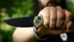 Picture of F3 Charlie Button Lock Folding Knife | Tekto Knives