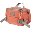 Picture of Hip Monkey Hip Bag by Mystery Ranch®