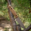 Picture of Adventurer CSHF Carbon Steel | BPS Knives