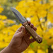 Picture of Bushmate Carbon Steel | BPS Knives