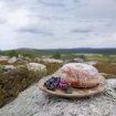 Picture of 14 Small Plate | Kupilka