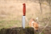 Picture of Flamebird | BPS Knives
