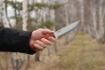 Picture of Flamebird | BPS Knives