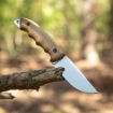Picture of HK4 D2SH | BPS Knives