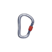 Picture of Rocklock Screwgate Carabiner | Black Diamond