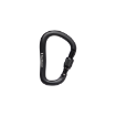Picture of Rocklock Screwgate Carabiner | Black Diamond