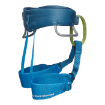 Picture of Kid's Momentum Harness | Black Diamond