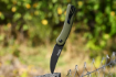 Picture of Colibri Green Folding Knife | BPS Knives