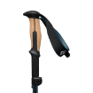 Picture of Trail Vista FLZ Trekking Poles | Black Diamond