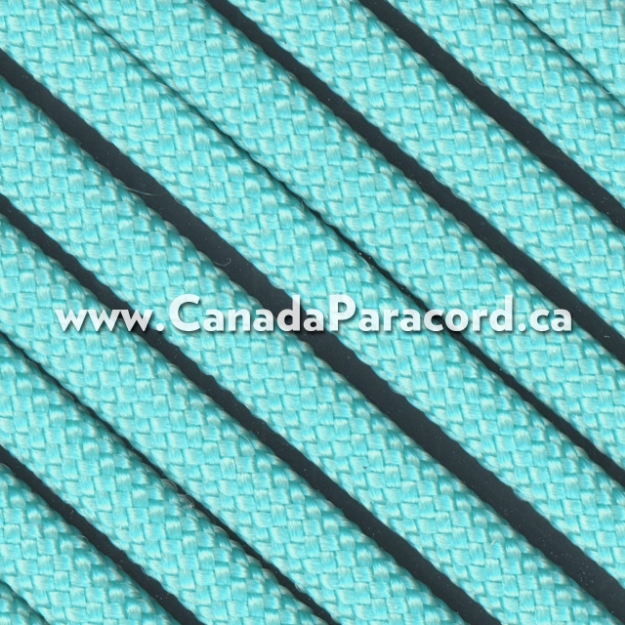 Turquoise - 25 Feet - 650 Coreless Paraline
